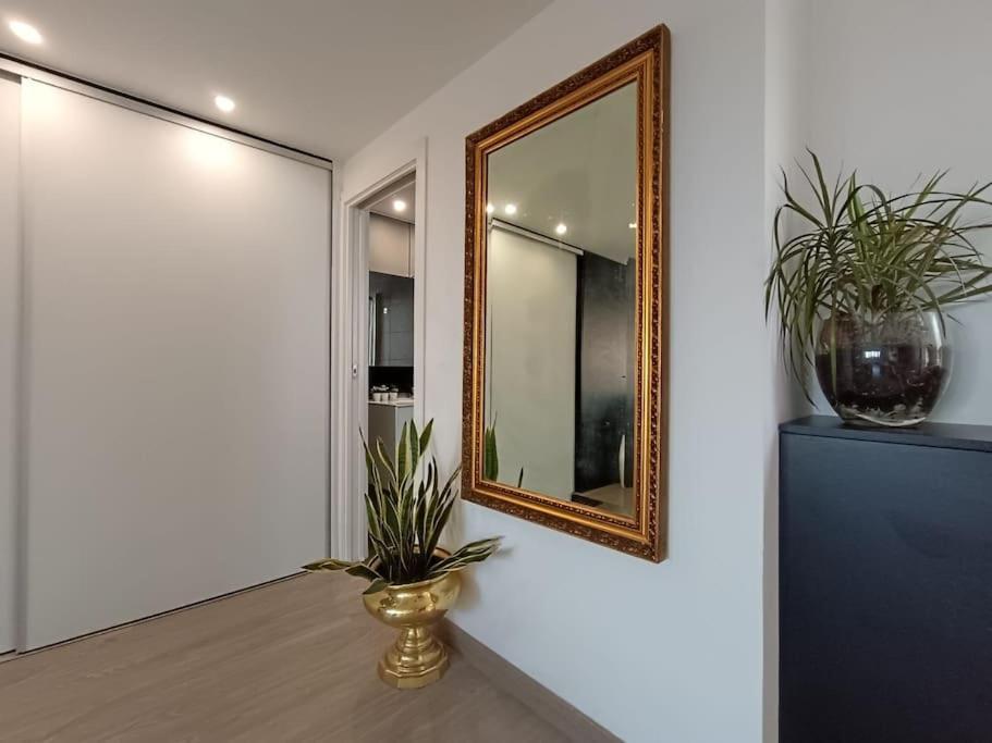 Spacious Studio By The University San Vicente Raspeig Exteriér fotografie